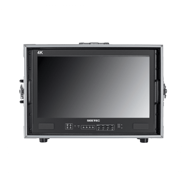 FEELWORD MONITOR SEETEC 21.5 4K CON MALETA